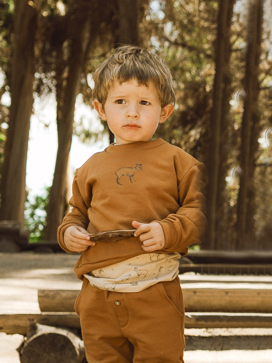 PACK JOGGER CAMEL / POLERON PUDÚ CAMEL