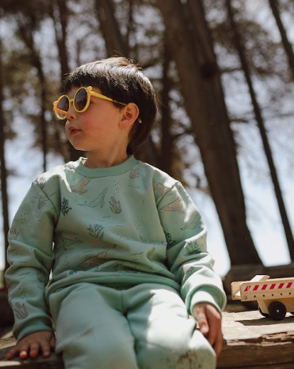 PACK JOGGER CEMENTO / POLERON  BALLENA JOROBADA CEMENTO