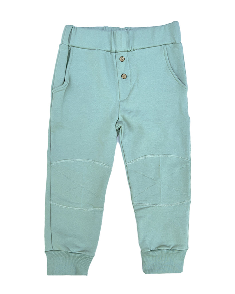 PACK JOGGER CEMENTO / POLERA ZORRITO CULPEO VERDE