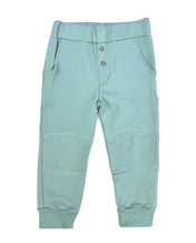 PACK JOGGER CEMENTO / POLERA ZORRITO CULPEO VERDE