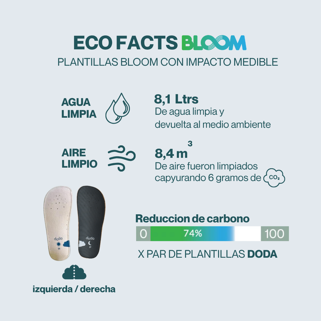 doda-plantilla-bloom-eco