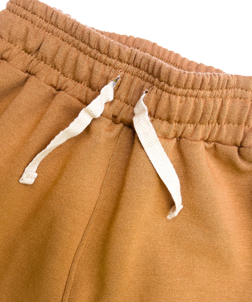 short-camel2.jpg